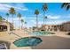 Inviting community pool and spa surrounded by lush landscaping and palm trees at 9151 W Greenway Rd # 243, Peoria, AZ 85381