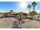 Backyard with desert landscaping and palm trees at 12402 W Cougar Dr, Sun City West, AZ 85375