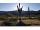 Scenic view of saguaro cacti and mountain backdrop at sunset at 19341 W San Juan Ave, Litchfield Park, AZ 85340