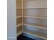 Spacious pantry with ample shelving for storage at 21018 E Calle Luna Ct, Queen Creek, AZ 85142
