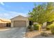 Single-story house with a two-car garage and mature trees at 2008 E Stacey Rd, Gilbert, AZ 85298