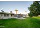 View of backyard with mature orange tree and patio at 10731 W Cheryl Dr, Sun City, AZ 85351