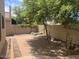Private backyard with paved patio and mature trees at 18802 N 44Th Pl, Phoenix, AZ 85050