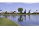 Serene lake with swans and houses in background at 25639 S Beech Creek Dr, Sun Lakes, AZ 85248