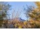 Scenic desert landscape with mountain view in background at 9446 E Romping Rd, Carefree, AZ 85377