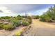 Landscaped front yard with desert plants and a long driveway at 9446 E Romping Rd, Carefree, AZ 85377