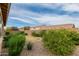 Landscaped backyard with trees and lawn at 2456 E Lindrick Dr, Gilbert, AZ 85298