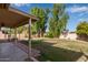 Spacious backyard with grassy lawn, covered patio, and mature trees at 2418 W Alamo Dr, Chandler, AZ 85224