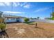 Backyard view featuring cacti, a small tree, and artificial turf at 1012 W Whitton Ave, Phoenix, AZ 85013