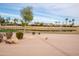 Peaceful waterfront view with lush landscaping and homes at 16068 W Edgemont Ave, Goodyear, AZ 85395