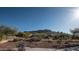 Beautiful mountain views from the backyard at 4889 S Nighthawk Dr, Gold Canyon, AZ 85118