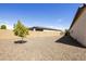 Desert backyard with a small tree, gravel, and a brick privacy wall at 10731 E Texas Ave, Mesa, AZ 85212