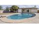 Backyard oasis featuring a sparkling in-ground pool and diving board at 1906 N Evergreen St, Chandler, AZ 85225