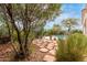 Picturesque backyard featuring a serene pool, lush trees, and a flagstone path at 33010 N 23Rd Ave, Phoenix, AZ 85085