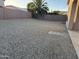 Landscaped backyard with gravel and a block wall at 13137 W Stella Ln, Litchfield Park, AZ 85340