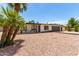 Front yard view showcasing palm trees, landscaping, and a welcoming single-story home at 2041 E Harvard Dr, Tempe, AZ 85283