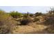 Desert landscape with shrubs, dry grass, and mountain view at 36023 N 140Th St, Scottsdale, AZ 85262