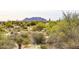 Vast desert landscape with mountain views at 36023 N 140Th St, Scottsdale, AZ 85262