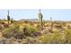 Desert landscape with cacti, shrubs, and mountain backdrop at 36023 N 140Th St, Scottsdale, AZ 85262