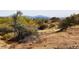 Desert terrain with tire tracks and sparse vegetation at 36023 N 140Th St, Scottsdale, AZ 85262