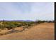 Desert lot with mountain views and various desert plants at 36023 N 140Th St, Scottsdale, AZ 85262