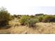 Home nestled in the desert landscape at 36023 N 140Th St, Scottsdale, AZ 85262