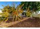 Backyard with fruit trees and mulch ground cover at 5502 E Baywood Ave, Mesa, AZ 85206