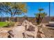 Private backyard with a rock waterfall spa, lush green grass, and palm trees at 1483 S Nielson St, Gilbert, AZ 85296