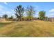 Spacious grassy backyard with mature trees, providing a private and serene setting at 942 N Miramar --, Mesa, AZ 85213