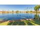 Scenic community lake with ducks and palm trees at 10214 E Michigan Ave, Sun Lakes, AZ 85248