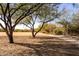 Pathway through the park with desert trees and landscape at 7093 W Andrew Ln, Peoria, AZ 85383