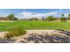 Expansive grassy area in a well-maintained community park at 10051 E Pampa Ave, Mesa, AZ 85212