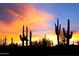 Scenic sunset view over desert landscape with cacti silhouettes at 10835 N Cherry Hills Ct, Fountain Hills, AZ 85268