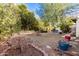 Spacious backyard with grassy area and mature trees at 2527 N 61St Ave, Phoenix, AZ 85035