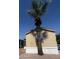 Tan mobile home with covered porch and large palm tree at 9431 E Coralbell Ave # 124, Mesa, AZ 85208