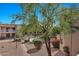 Community pool area with walkways and trees at 16616 E Palisades Blvd # 102, Fountain Hills, AZ 85268