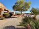 Landscaped front yard with gravel, desert plants, and a tree at 11100 W Magdalena Dr, Arizona City, AZ 85123