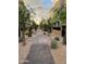 Landscaped walkway connecting the townhomes in a community setting at 1406 W Main St # 140, Mesa, AZ 85201