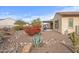 Landscaped backyard with desert plants and a pergola at 18852 N 260Th Ln, Buckeye, AZ 85396