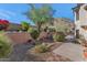 Landscaped backyard with stone pathway and desert plants at 19618 N 19Th Pl, Phoenix, AZ 85024