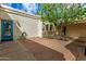 Private courtyard with a blue door and a tree providing shade at 2152 E Calle Maderas --, Mesa, AZ 85213