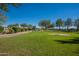 Expansive grassy area with mature trees and a walking path at 3301 S Goldfield Rd # 2015, Apache Junction, AZ 85119