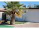 Backyard with a palm tree and patio area at 418 N Sirrine --, Mesa, AZ 85201