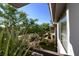 View from patio of trees and surrounding landscape at 4343 N 21St St # 203, Phoenix, AZ 85016