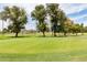 Putting green with trees and net at 17633 N Lindner Dr, Glendale, AZ 85308