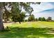 Golf course view with a bench under a tree at 17633 N Lindner Dr, Glendale, AZ 85308