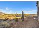 Backyard with mountain views and desert landscape at 27 N Muleshoe Rd, Apache Junction, AZ 85119