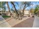 Community courtyard with gravel, grass, and palm trees at 1331 W Baseline Rd # 122, Mesa, AZ 85202