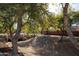 Pathway meandering through a lush, tree-lined area at 26053 W Tonopah Dr, Buckeye, AZ 85396