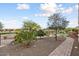 Landscaped side yard with lemon trees and a brick pathway at 26822 W Oraibi Dr, Buckeye, AZ 85396